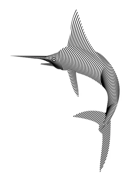 Marlin ! — Image vectorielle