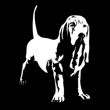 köpek av