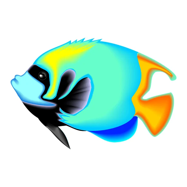 6,739 Measurement Fish Images, Stock Photos, 3D objects, & Vectors