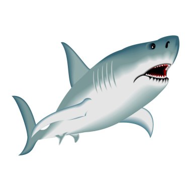 Köpekbalıkları ve sualtı avcısı