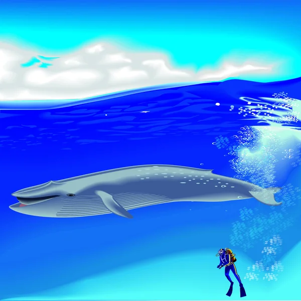 Bawah air dengan ikan paus sperma - Stok Vektor