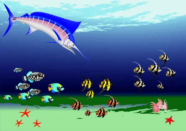 Marlin ile sualtı
