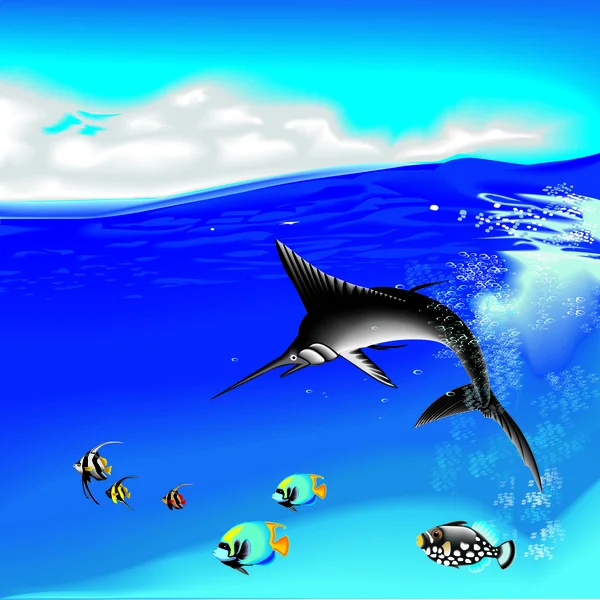 Marlin ile sualtı