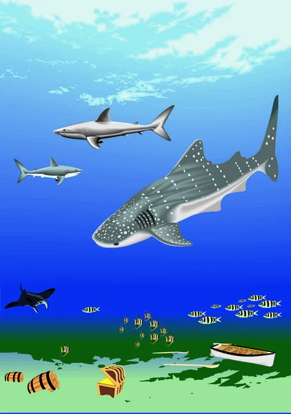 Underwater with shark — Stock Vector