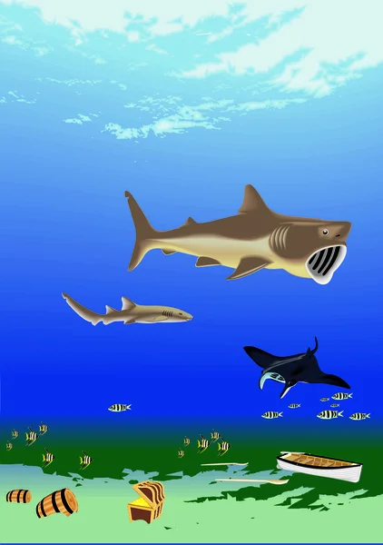 Underwater with shark — Stock Vector