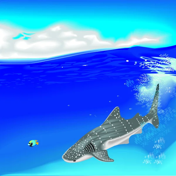 Tiburón ballena bajo el agua — Archivo Imágenes Vectoriales