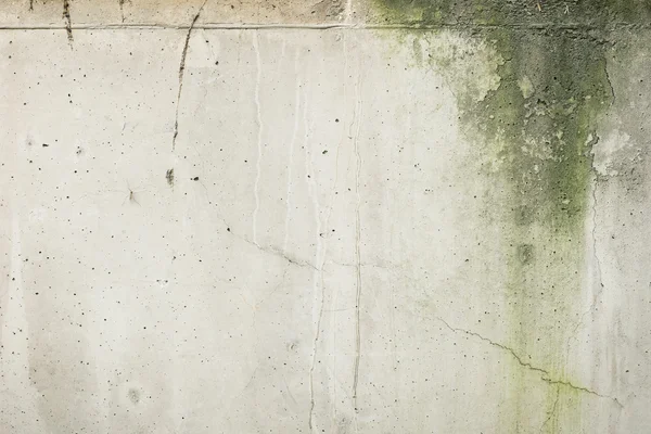 Weathered pale concrete wall — Stock Photo © Tuomas_Lehtinen #79293262