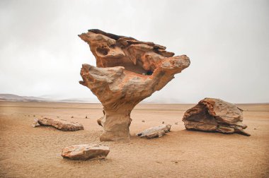 Arbol de Piedra (taş ağaç), Andean Ulusal Rezervi 'nde bulunan bir kaya oluşumu. Kum taşıyan ve kumtaşını aşındıran güçlü rüzgarlar yüzünden bodur bir ağaç şeklindedir.