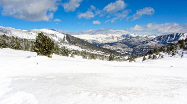 Pireneler 'deki çam ağaçlı kar dağlarının manzarası. Yürüyüş ve kayak gibi kış sporları için mavi gökyüzü olan kış manzarası.