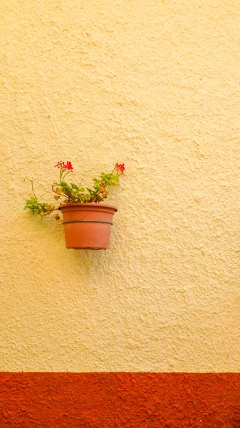 Rustic Picturesque Flower Pot Hanging House Wall Spain Mediterranean Style — Stock Photo, Image