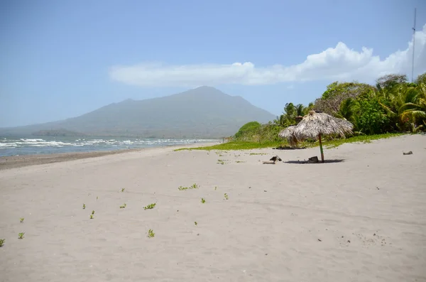 Avslappende Strand Ometepe Island Nicaragua Stranden Ved Innsjø Med Utsikt – stockfoto