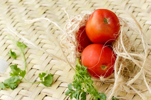 Tuoreet tomaatit korianterin lehtien kanssa — kuvapankkivalokuva