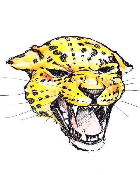 Leopard hand drawn illustration — Stock Photo, Image