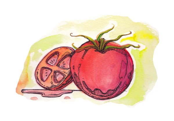 Illustrazione acquerello di pomodoro — Foto Stock