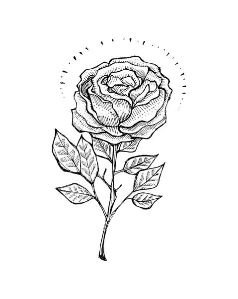 Αφηρημένη ροδαλό λουλούδι — Διανυσματικό Αρχείο