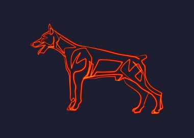 Bir doberman köpeğinin el çizimi veya çizimi çok az.