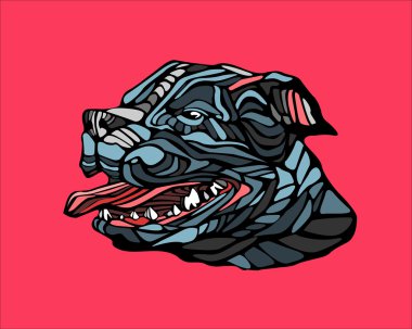 Köpek pitbull kırmızı zemin üzerine