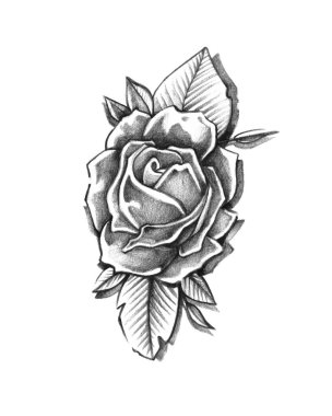 Vintage elle çizilmiş gül.