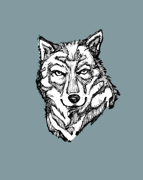 Wolf mano disegnata — Vettoriale Stock