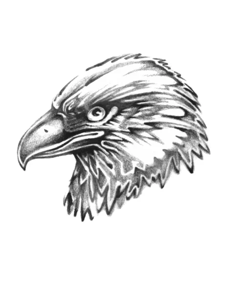 Eagle hand getekende illustratie — Stockvector