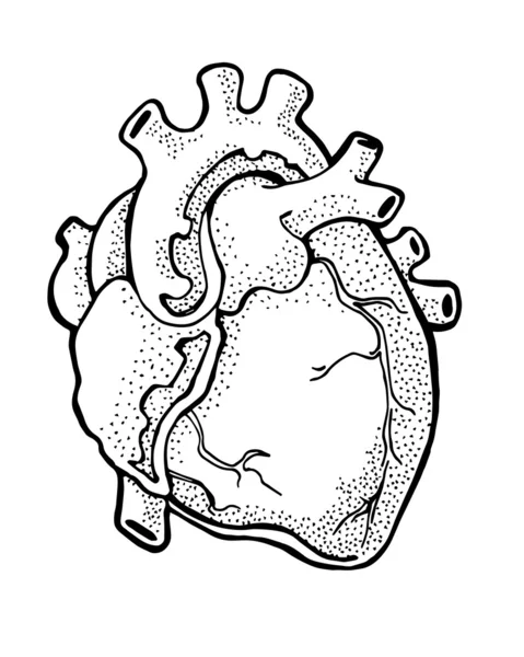 Corazón dibujado a mano abierto — Archivo Imágenes Vectoriales