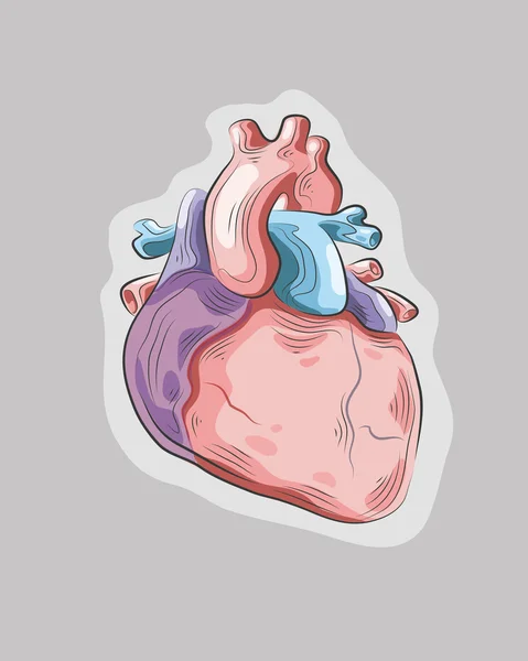Corazón dibujado a mano abierto — Archivo Imágenes Vectoriales