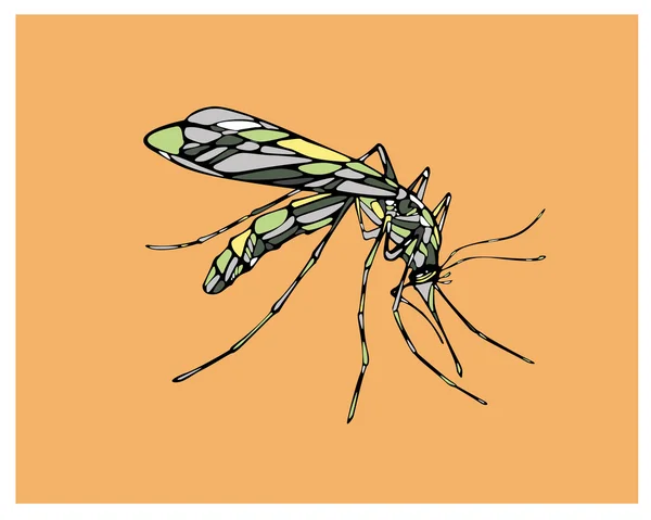Mosquito de insetos desenhado à mão — Vetor de Stock