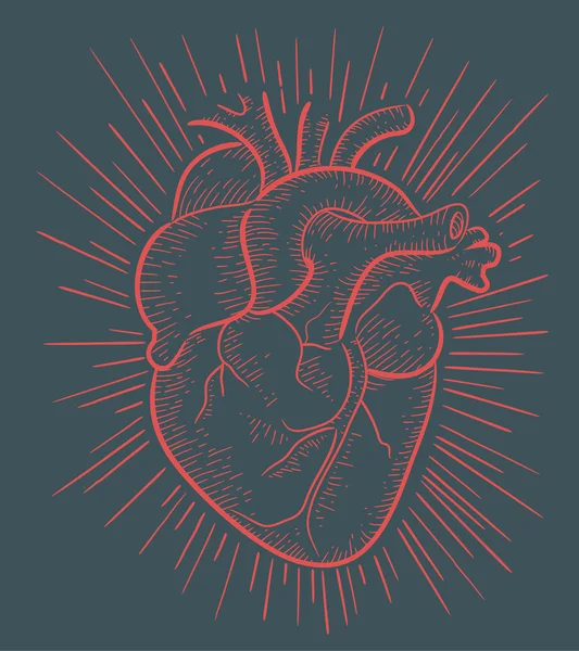 İnsan kalbi elle çizilmiş