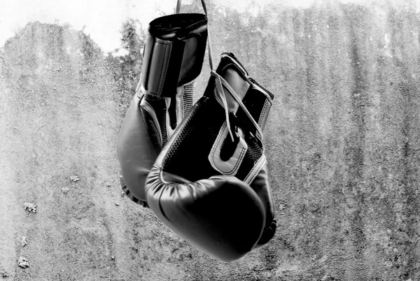 Guantes de boxeo en blanco y negro — Foto de Stock