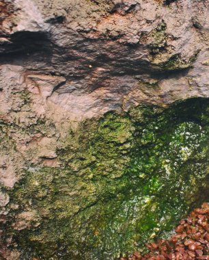 Moss ile büyük taşlar