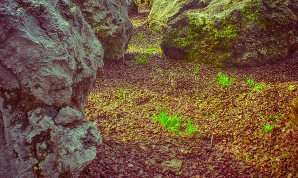 Große Steine mit Moos — Stockfoto