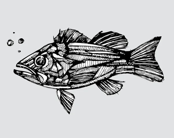 抽象的鱼标志 — 图库矢量图片