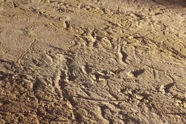 Textura o fondo de tierra — Foto de Stock