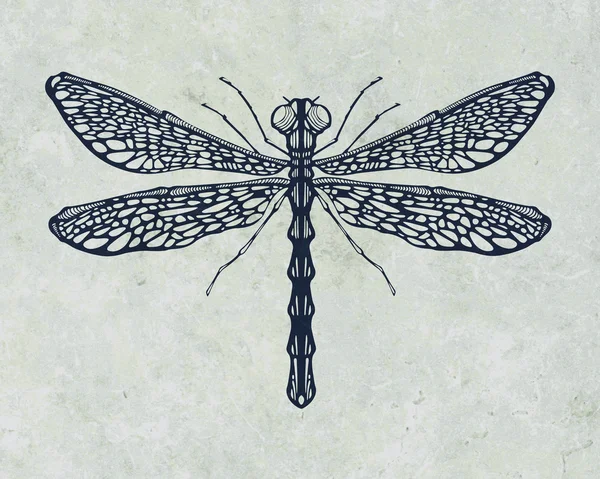 Yusufçuk böcek sembolü — Stok fotoğraf