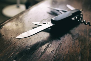 İsviçre tarzı çakı