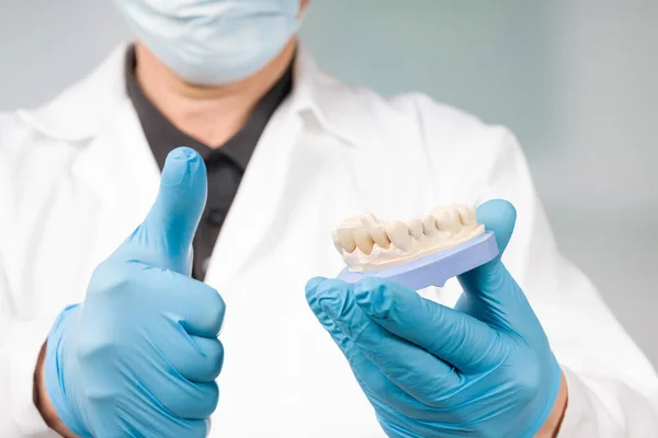 Mano Guanti Del Dentista Odontotecnico Presenta Impronta Dentale Con Dentatura — Foto Stock