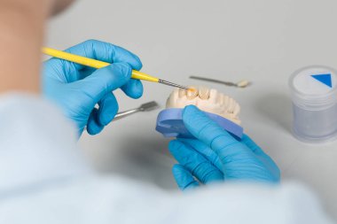 Yapay diş hekiminde boya işini diş fırçasıyla kapatın.