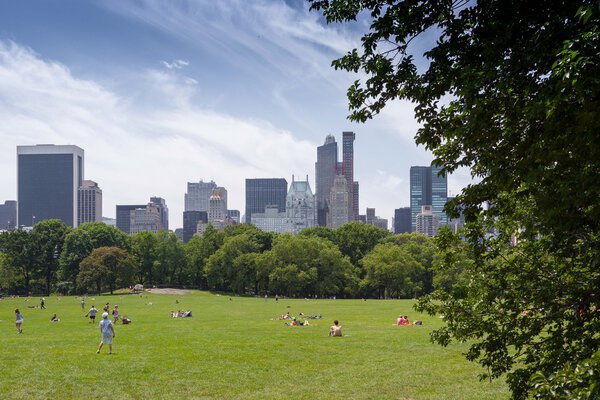 Central Park in New York at a summer day