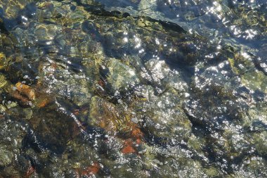 Deniz yüzeyi ve çakıl doku