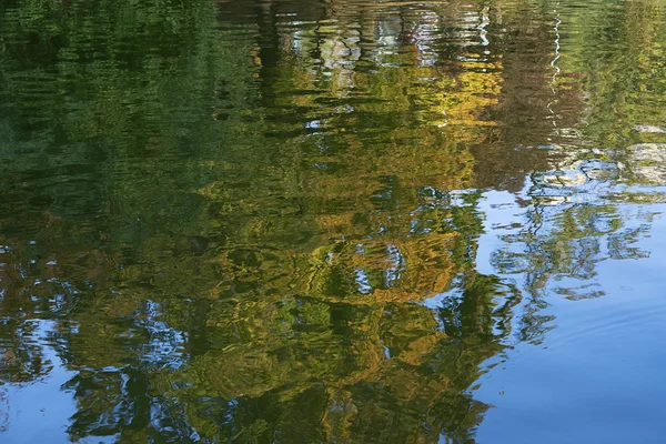 Superficie dell'acqua con riflesso di alberi — Foto Stock