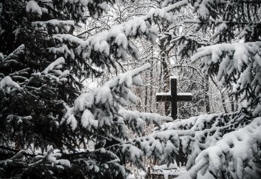 Cemetery in winter clipart