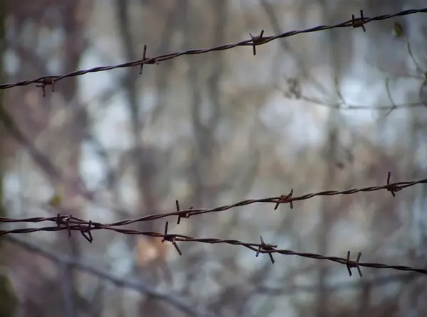 pripyat Barbwire