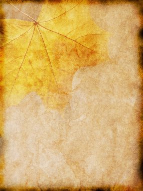 Eski kağıt sarı yaprak desenli
