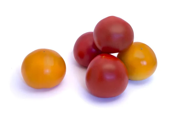 Tomates vermelhos e amarelos — Fotografia de Stock