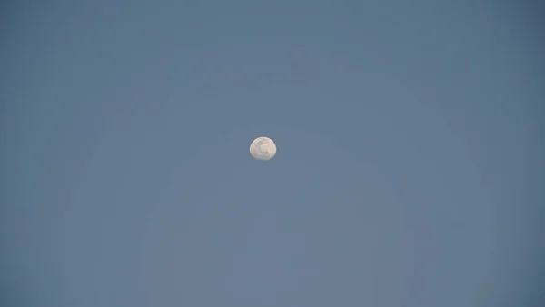 Közelkép Hold Reggeli Idő Kék Háttér Tiszta Reggeli Fényes Növekvő — Stock Fotó
