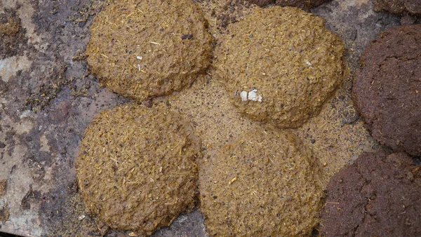 乾燥糞燃料または乾燥肥料燃料は 燃料源として使用するために乾燥された動物糞です 粘土の壁に乾燥させる牛の糞のケーキ 天然のインド燃料 — ストック写真