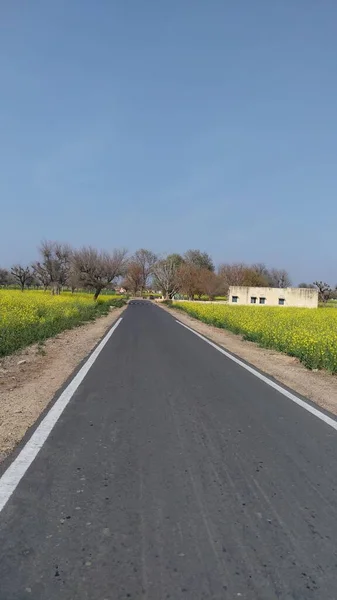 Uma Antiga Estrada Asfalto Rural Através Aldeia Campos Para Floresta — Fotografia de Stock