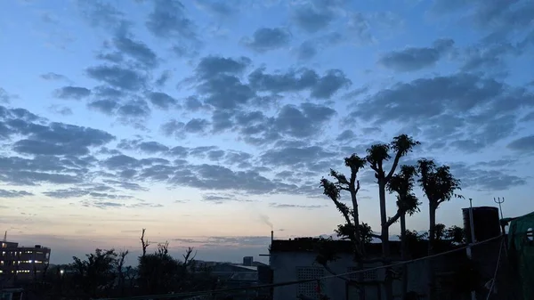 ふわふわの雲とロマンチックな夕日の空 木々は夕日を背景にシルエット 野外での暗い木劇的な日の出 — ストック写真