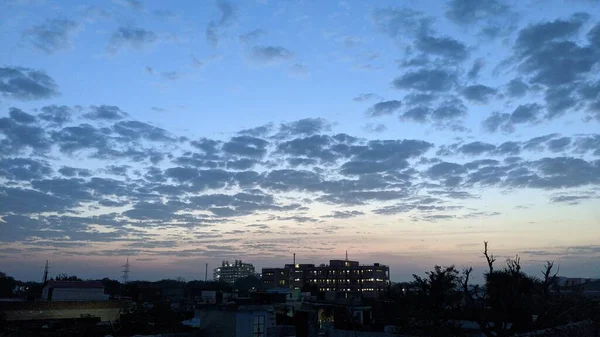 Céu Romântico Pôr Sol Com Nuvens Fofas Árvore Silhueta Contra — Fotografia de Stock