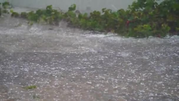 Saçaklardan Gökten Sağanak Yağış Yağıyor Yağmur Çok Şiddetli Yağıyor Çok — Stok video